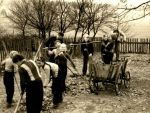 1956-Gartenarbeit